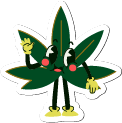 Smoke Shop en Oaxaca